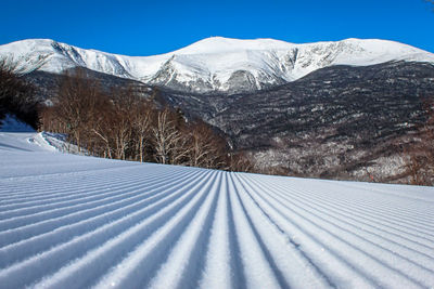 www.skiwildcat.com