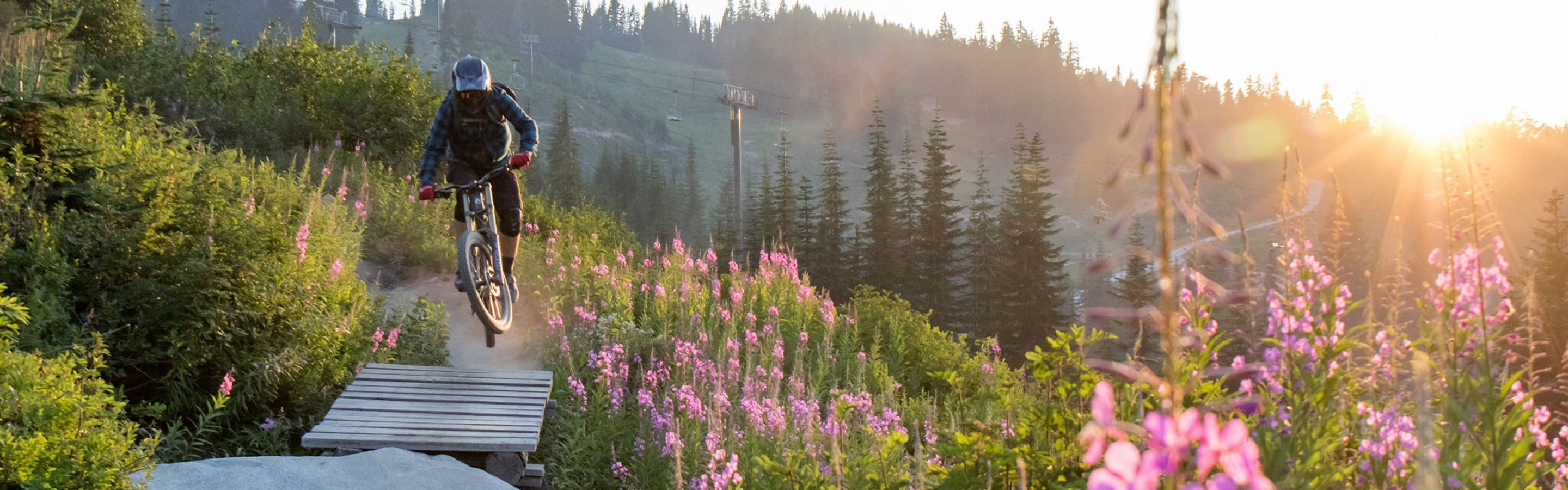 mountain biking hero.jpg